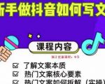 新手做抖音如何写文案，手把手实操如何拆解热门文案-资源云