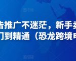 亚马逊广告推广不迷茫,新手卖家产品运营入门到精通(恐龙跨境电商)-资源云