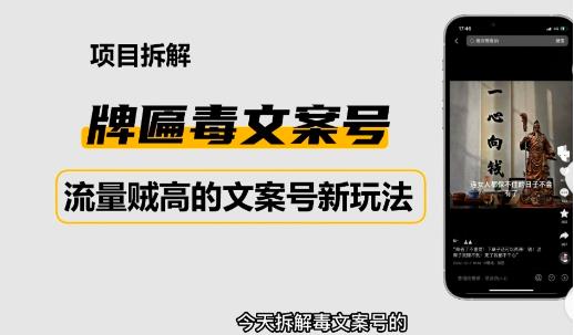 2023抖音快手毒文案新玩法，牌匾文案号，起号快易变现-资源云
