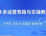 拼多多店铺运营思路与实操教程,快速学会拼多多开店和运营,少踩坑,多盈利-资源云