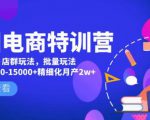 美团电商特训营：美团·店群玩法，无脑铺货月产出6000-15000+精细化月产2w+-资源云