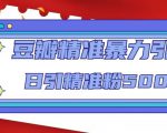 豆瓣精准暴力引流,日引精准粉500+【12课时】-资源云