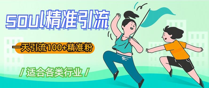 soul精准引流系列课程，一天引流100+精准粉，适合各类行业-资源云