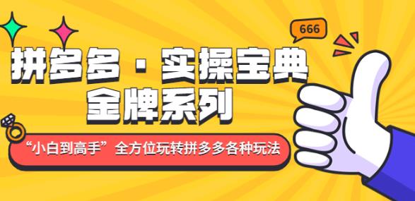 拼多多·实操宝典：金牌系列“小白到高手”带你全方位玩转拼多多各种玩法-资源云