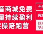 抖音商城搜索持续盈利陪跑成长营，抖音商城搜索从0-1、从1到10的全面解决方案-资源云