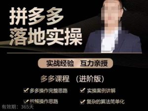 拼多多实战篇·落地实操：多多操作完整思路+实操案例讲解+拆解操作思路+复杂的算法简单化-资源云