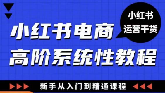 小红书电商高阶系统教程，新手从入门到精通系统课-资源云