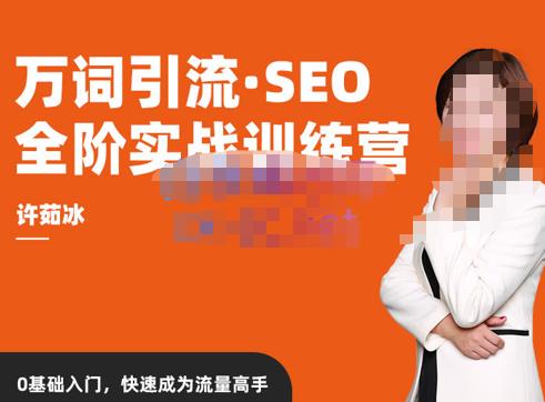 许茹冰·万词引流-SEO全阶实战训练营，0基础入门，快速成为流量高手-资源云