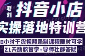 抖音小店实操落地特训营:抖音小店无货源精细化运营,抖店商品卡流量(22节)-资源云