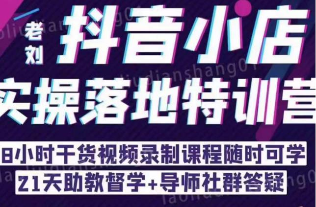 抖音小店实操落地特训营：抖音小店无货源精细化运营，抖店商品卡流量（22节）-资源云