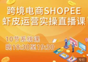 跨境电商Shopee虾皮运营实操直播课,从零开始学,入门到精通(10节系统课)-资源云