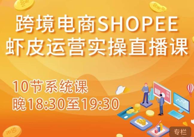 跨境电商Shopee虾皮运营实操直播课，从零开始学，入门到精通（10节系统课）-资源云