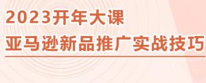 2023亚马逊新品推广实战技巧，线下百万美金课程的精简版，简单粗暴可复制，实操性强的推广手段-资源云