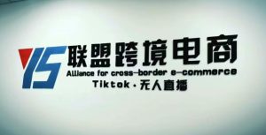 YS联盟·Tiktok无人直播,不出镜不剪辑不拍摄不发货无售后的跨境短视频躺赚玩法-资源云