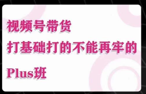 大播汇·视频号带货Puls班，视频号底层逻辑，起号自然流鱼塘等玩法-资源云
