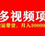 多多带货视频快速50爆款拿带货资格,搬运带货,月入30000【全套脚本+详细玩法】-资源云