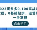 2023拼多多0-100实战运营教程,0基础起步,运营知识一手掌握-资源云
