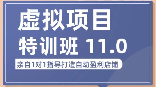 陆明明·虚拟项目特训班（10.0+11.0），0成本获取虚拟素材，0基础打造自动盈利店铺-资源云
