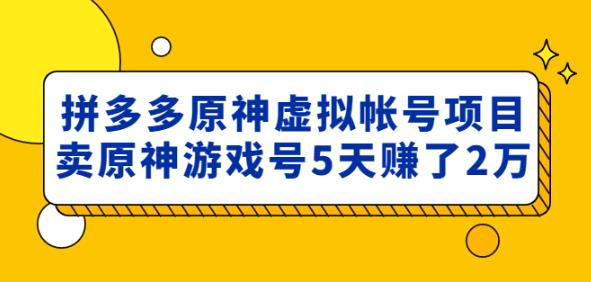外面卖2980的拼多多原神虚拟帐号项目：卖原神游戏号5天赚了2万-资源云