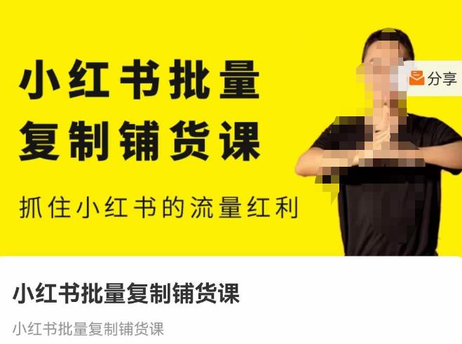 张宾·小红书批量复制铺货课，抓住小红书的流量红利 （更新2023年2月）-资源云