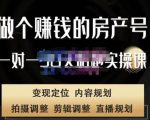 刘广标·同城房产号线上陪跑课,拍摄、剪辑、写文案、直播,做一个具有潜力价值的房产号-资源云