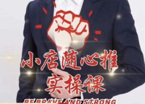 随心推线上课,小店随心推的投放逻辑,投放技巧,快速打标签-资源云