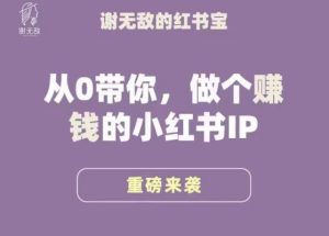 谢无敌·小红书运营大宝典,从0带你做个赚钱的小红书IP-资源云