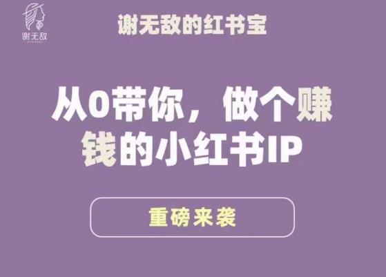 谢无敌·小红书运营大宝典，从0带你做个赚钱的小红书IP-资源云