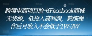 跨境电商项目脸书Facebook商城无货源,低投入高利润,熟练操作后月收入不会低于1W-3W-资源云