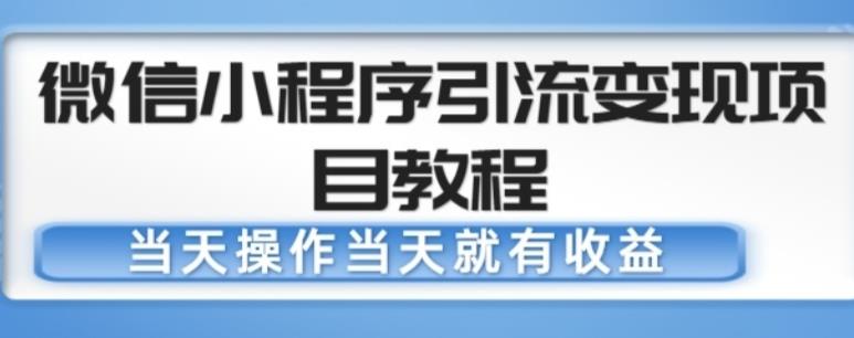 微信小程序引流变现项目教程，当天操作当天就有收益，变现不再是难事-资源云