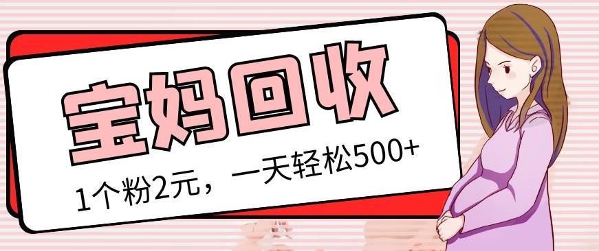 最新宝妈粉回收变现计划及胎教音乐高端变现玩法全套教程！（非老玩法）-资源云