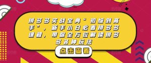 拼多多实战宝典“初级到高手”，新手小白必看拼多多课程，带你全方位解读拼多多各种玩法-资源云