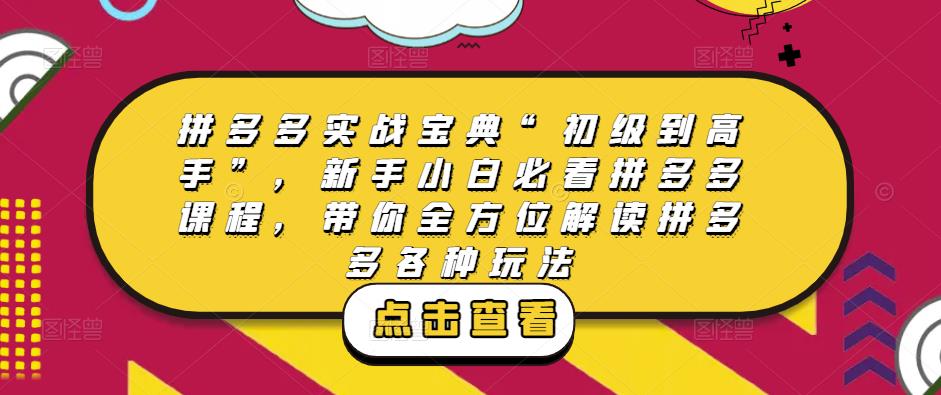 拼多多实战宝典“初级到高手”，新手小白必看拼多多课程，带你全方位解读拼多多各种玩法-资源云