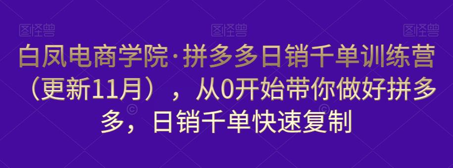 白凤电商学院·拼多多日销千单训练营，从0开始带你做好拼多多，日销千单快速复制（更新知2023年3月）-资源云