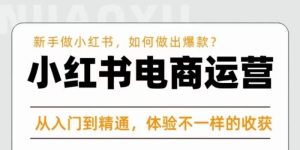 红商学院·小红书电商运营课,新手做小红书如何快速做出爆款,从入门到精通,体验不一样的收货-资源云