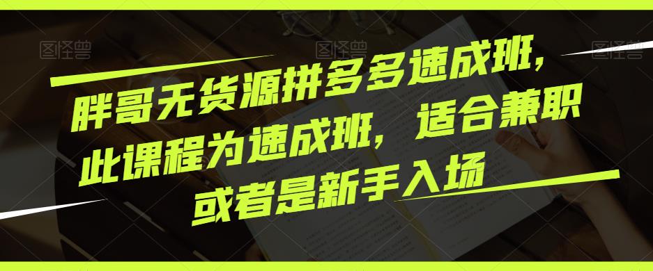 胖哥无货源拼多多速成班，此课程为速成班，适合兼职或者是新手入场-资源云