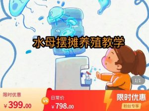 水母摆摊教学,包括摆摊技术、养殖技术、拿货渠道、抖音运营等-资源云