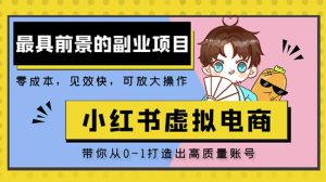 小红书蓝海大市场虚拟电商项目,手把手带你打造出日赚2000+高质量红薯账号-资源云