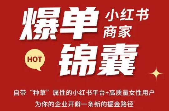 无畏·小红书商家爆单锦囊，掌握小红书各大规则，快速精准抢占行业和市场-资源云