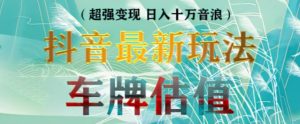 抖音最新无人直播变现直播车牌估值玩法项目,轻松日赚几百+【详细玩法教程】-资源云
