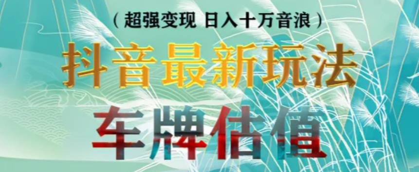 抖音最新无人直播变现直播车牌估值玩法项目，轻松日赚几百+【详细玩法教程】-资源云