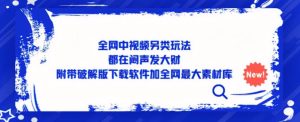 全网中视频另类玩法,都在闷声发大财,附带破解版下载软件加全网最大素材库-资源云