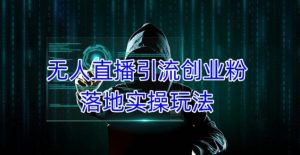 外面收费3980的无人直播引流创业粉落地实操玩法,单日引100+精准创业粉-资源云