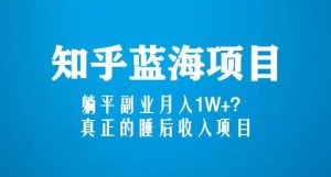 知乎蓝海玩法,躺平副业月入1W+,真正的睡后收入项目(6节视频课)-资源云