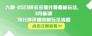 大炮·2023拼多多强付费最新玩法,3月新课78分钟详细讲解玩法流程-资源云