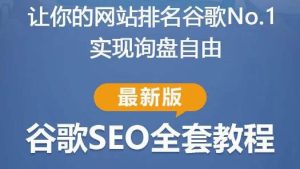 谷歌SEO实战教程:如何让你的网站在谷歌排名第一,内容从入门到高阶,适合个人及团队-资源云