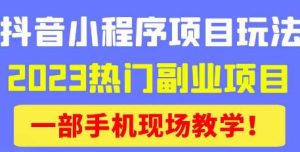抖音小程序9.0新技巧,2023热门副业项目,动动手指轻松变现-资源云