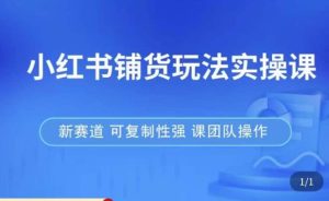 小红书铺货玩法实操课,流量大,竞争小,非常好做,新赛道,可复制性强,可团队操作-资源云