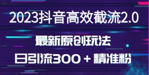 日引300+创业粉,独家抖音高效截流2.0玩法(价值1280)-资源云