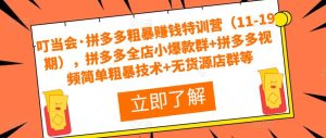 叮当会·拼多多粗暴赚钱特训营(11-19期),拼多多全店小爆款群+拼多多视频简单粗暴技术+无货源店群等-资源云